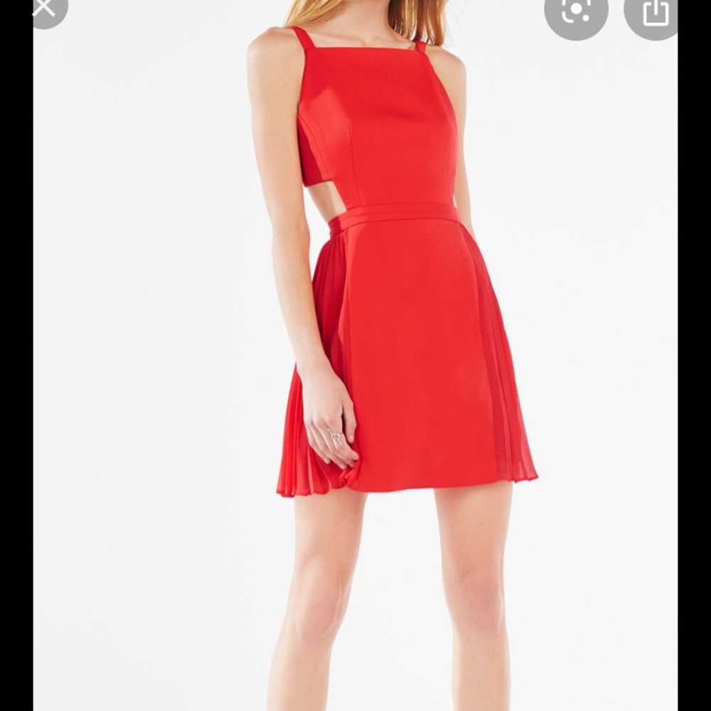 Brand new BCBG Brielle Poppy Mini Dress